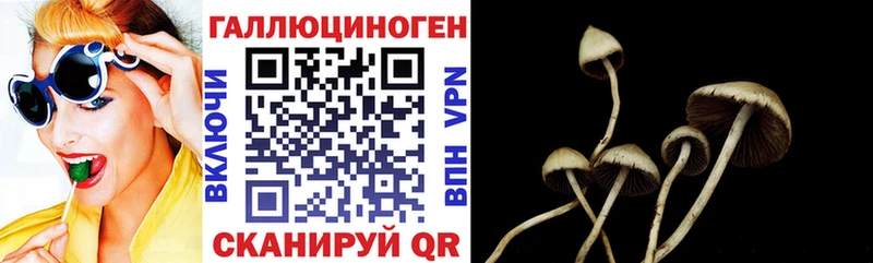 Псилоцибиновые грибы Psilocybine cubensis  Дыгулыбгей 